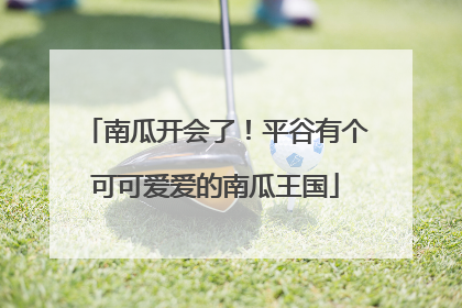 南瓜开会了！平谷有个可可爱爱的南瓜王国