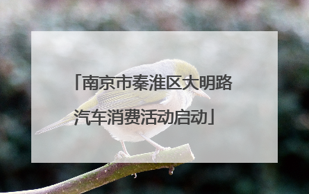 南京市秦淮区大明路汽车消费活动启动