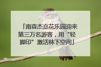 南森杰嘉花乐园迎来第三万名游客，用“轻脚印”激活林下空间