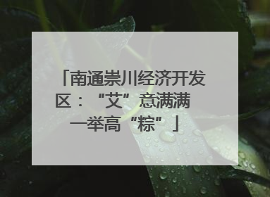 南通崇川经济开发区：“艾”意满满 一举高“粽”