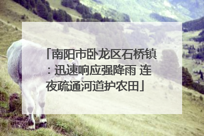 南阳市卧龙区石桥镇：迅速响应强降雨 连夜疏通河道护农田