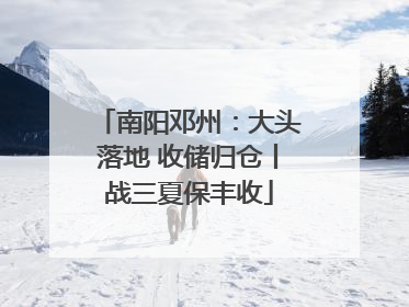 南阳邓州：大头落地 收储归仓丨战三夏保丰收