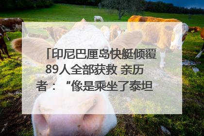 印尼巴厘岛快艇倾覆89人全部获救 亲历者：“像是乘坐了泰坦尼克号”｜封面头条