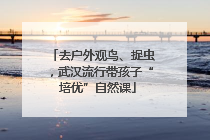 去户外观鸟、捉虫，武汉流行带孩子“培优”自然课