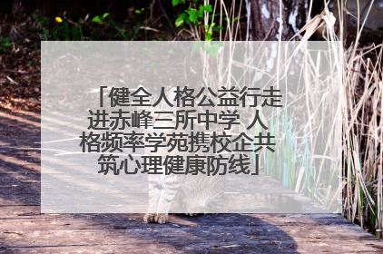 健全人格公益行走进赤峰三所中学 人格频率学苑携校企共筑心理健康防线