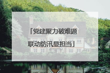 党建聚力破难题 联动防汛显担当