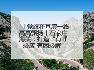 党旗在基层一线高高飘扬丨石家庄海关：打造“有呼必应 有困必解”关企互动新生态
