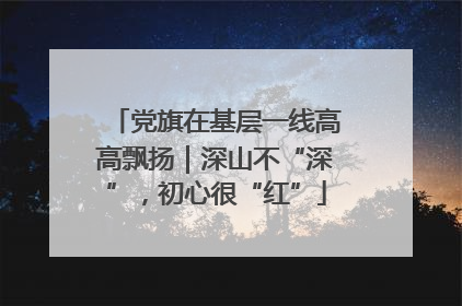 党旗在基层一线高高飘扬｜深山不“深”，初心很“红”