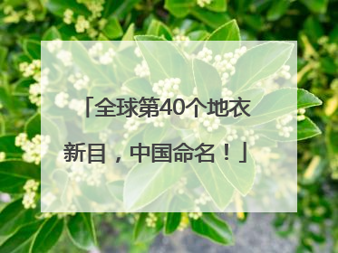 全球第40个地衣新目，中国命名！