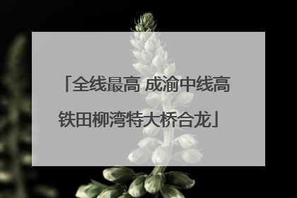 全线最高 成渝中线高铁田柳湾特大桥合龙