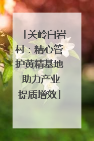 关岭白岩村：精心管护黄精基地 助力产业提质增效