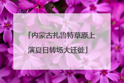 内蒙古扎鲁特草原上演夏日转场大迁徙