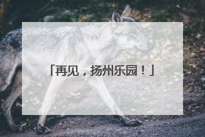 再见，扬州乐园！
