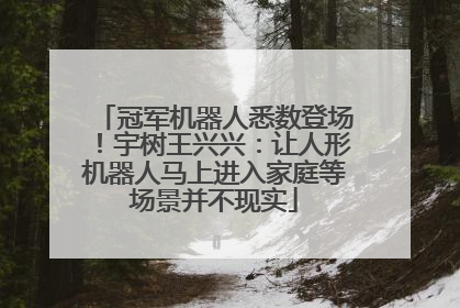冠军机器人悉数登场！宇树王兴兴：让人形机器人马上进入家庭等场景并不现实