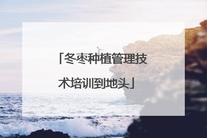 冬枣种植管理技术培训到地头