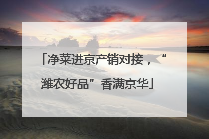 净菜进京产销对接，“潍农好品”香满京华