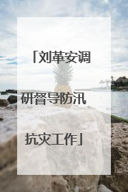 刘革安调研督导防汛抗灾工作