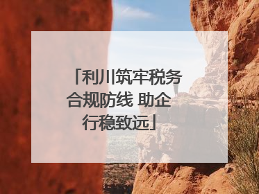 利川筑牢税务合规防线 助企行稳致远