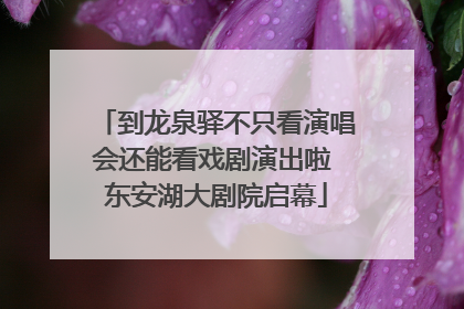 到龙泉驿不只看演唱会还能看戏剧演出啦 东安湖大剧院启幕