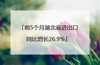 前5个月湖北省进出口同比增长26.9%