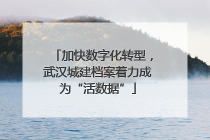 加快数字化转型，武汉城建档案着力成为“活数据”