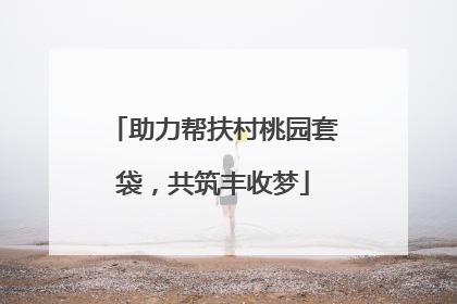 助力帮扶村桃园套袋，共筑丰收梦