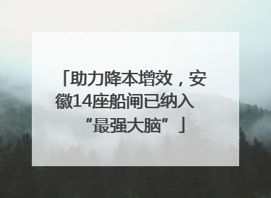 助力降本增效，安徽14座船闸已纳入“最强大脑”