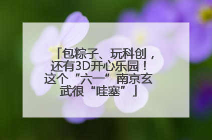 包粽子、玩科创，还有3D开心乐园！这个“六一”南京玄武很“哇塞”