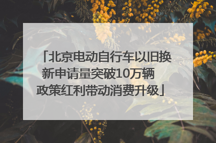 北京电动自行车以旧换新申请量突破10万辆 政策红利带动消费升级