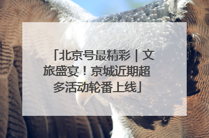 北京号最精彩｜文旅盛宴！京城近期超多活动轮番上线