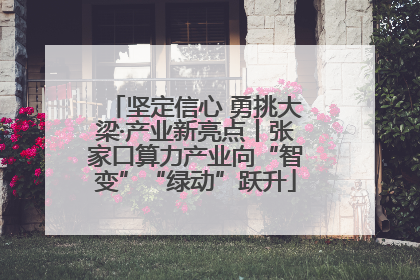 坚定信心 勇挑大梁·产业新亮点丨张家口算力产业向“智变”“绿动”跃升