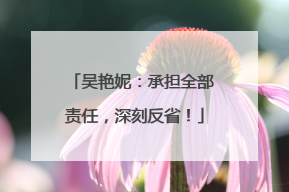 吴艳妮：承担全部责任，深刻反省！