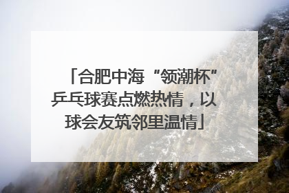 合肥中海“领潮杯”乒乓球赛点燃热情，以球会友筑邻里温情
