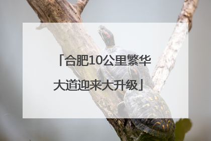 合肥10公里繁华大道迎来大升级