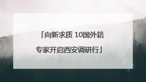 向新求质 10国外籍专家开启西安调研行