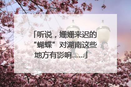 听说，姗姗来迟的“蝴蝶”对湖南这些地方有影响……