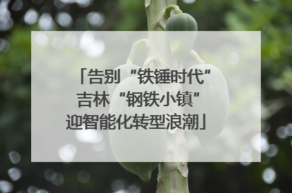 告别“铁锤时代” 吉林“钢铁小镇”迎智能化转型浪潮