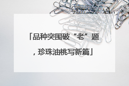 品种突围破“老”题，珍珠油桃写新篇