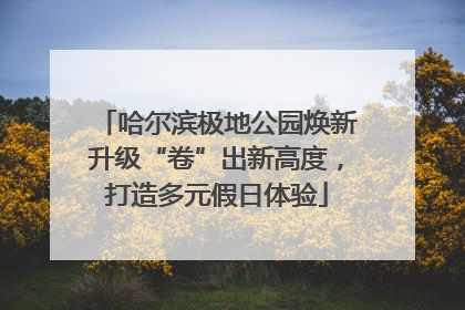 哈尔滨极地公园焕新升级“卷”出新高度，打造多元假日体验