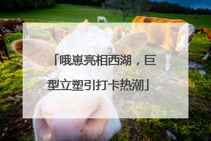 哦崽亮相西湖，巨型立塑引打卡热潮