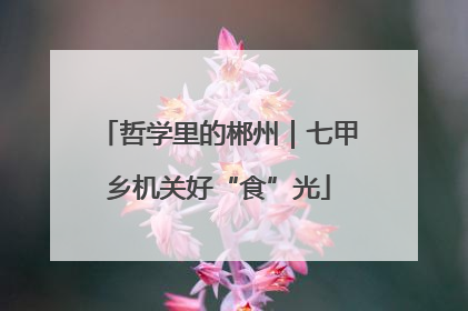 哲学里的郴州｜七甲乡机关好“食”光