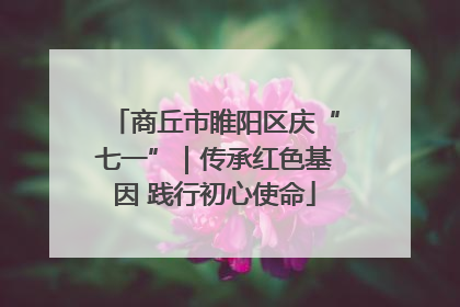 商丘市睢阳区庆“七一”｜传承红色基因 践行初心使命
