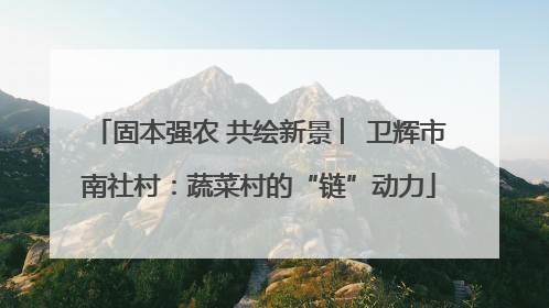 固本强农 共绘新景 ︳卫辉市南社村：蔬菜村的“链”动力