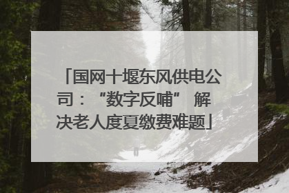 国网十堰东风供电公司：“数字反哺” 解决老人度夏缴费难题