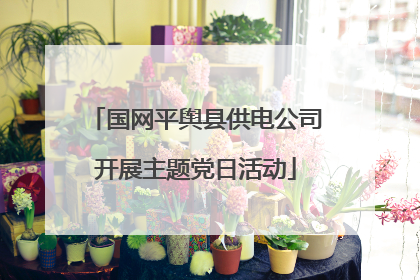 国网平舆县供电公司开展主题党日活动