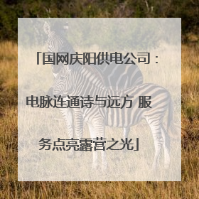 国网庆阳供电公司：电脉连通诗与远方 服务点亮露营之光