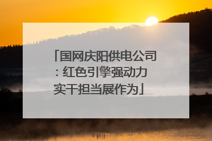 国网庆阳供电公司：红色引擎强动力 实干担当展作为