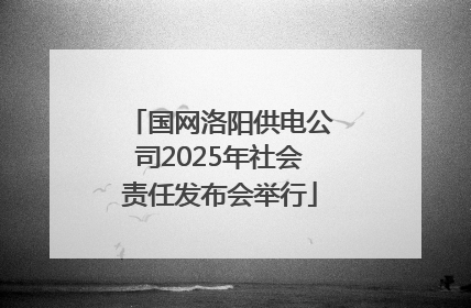 国网洛阳供电公司2025年社会责任发布会举行