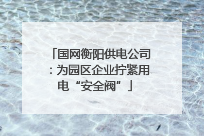 国网衡阳供电公司：为园区企业拧紧用电“安全阀”