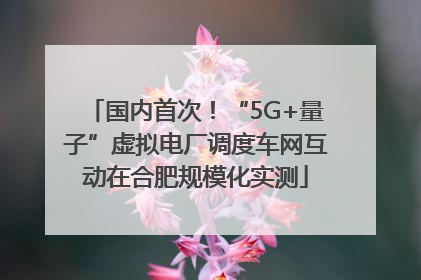 国内首次！“5G+量子”虚拟电厂调度车网互动在合肥规模化实测